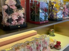 -植物学家的女儿(北马道巷店)