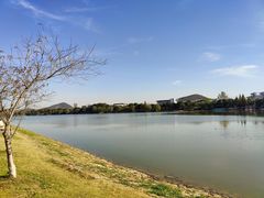 -羊山湖公园