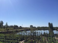 iphone_upload_pic-白洋淀锅里口灶台鱼