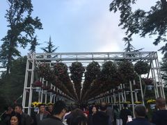 -迎泽公园