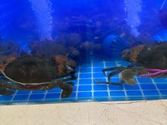 -七欣天香辣蟹火锅(苏州相城VIP总店)
