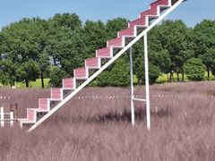 -嘉北郊野公园