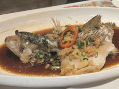 -虾饺妹·酒家(海珠广场店)