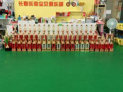 -长春乐奇平衡车儿童体能运动中心