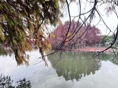-厦门园林博览苑