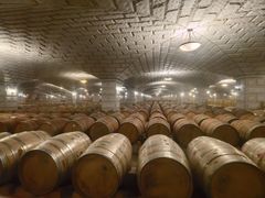 -紫轩葡萄酒庄园