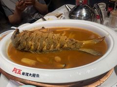 -阿五黄河大鲤鱼(纬三路店)