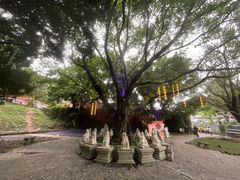-三水森林公园