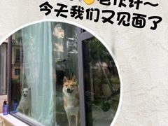 -金牛万达广场