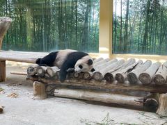 -杭州野生动物世界