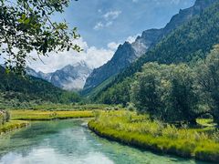 -稻城亚丁景区-冲古草甸