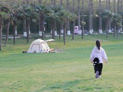 -黄海国家森林公园