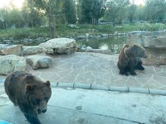 -北京野生动物园