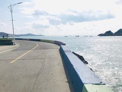 -枸杞岛