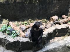-拉古南动物园