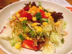 有机蔬菜沙拉-初居食屋日式料理(万象城购物中心店)