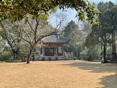 -汇龙潭