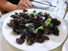 养生三脆-石饮红星包子(中山路店)