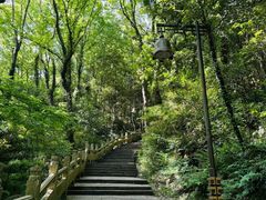 -普陀山风景区-佛顶山