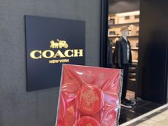 -COACH蔻驰(双安商场店)