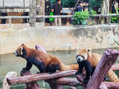 -长鹿旅游休博园