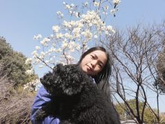 -玉山公园