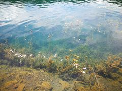 -泸沽湖里格半岛