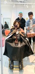 点击看大图 -茗梵谷造型