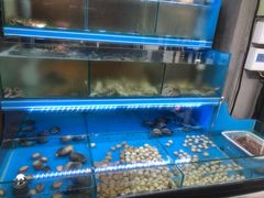 水产区-鑫釜山海鲜烧烤(浑南店)