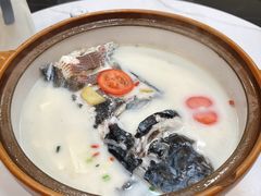 千岛湖浓汤鱼头-全乐鱼馆·淳牌有机鱼直营店