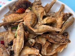 -品鲜村农家菜·阳澄湖大闸蟹(总店)