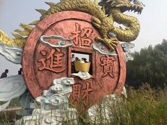 -白洋淀景区
