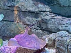 -欢乐海岸海洋奇梦馆