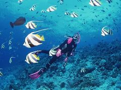 海之游3-上海美帆帆船露营基地