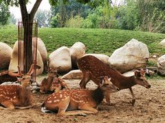 -北京野生动物园