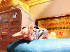 -碌碌发·东南亚风味烧烤档(体育西店)