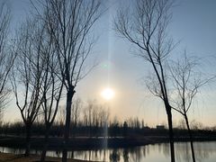 -东郊湿地公园
