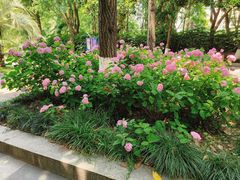 -苏州河梦清园环保主题公园