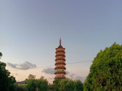 -奉贤海滩