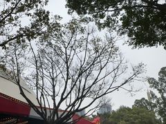 -广州长隆国际大马戏