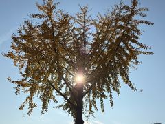 -听风阁农家私房菜茶楼(龙坞店)