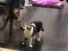 -蘭心餐厅(进贤路店)