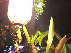 -Mai Mai Restaurant