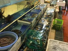 -海鲜城大家餐厅