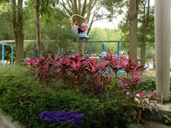 -广东茂名森林公园