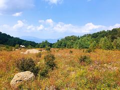 -白草畔自然风景区