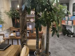 -艾柏堂8090经络·艾灸养生(御庭府邸店)