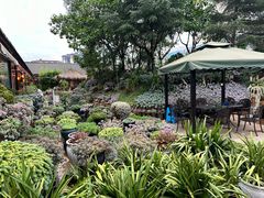 -山菌美食苑(振兴路店)