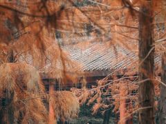 -重庆彩云湖湿地公园