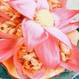 普者黑美食之——荷花宴